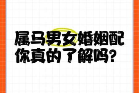马女马男生属相合不合 马女男马婚姻相配吗
