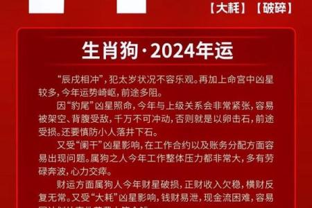 2025年属狗的人运势如何，不同年龄段的财运和健康要注意什么？