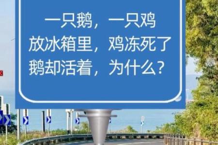 ‌蝼蚁得志打一生肖 → 鼠‌（鼠窃高位，蝼蚁猖狂）