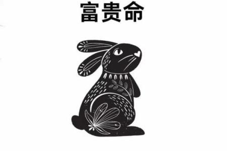 ‌两边外花发大财打一个生肖 → 兔（兔耳双花，财源外发）‌