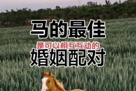 2002年女属马最佳婚配 2002年属马女生婚姻