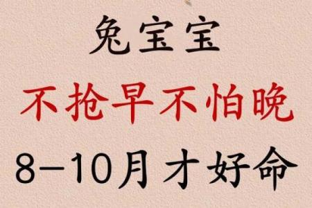 属兔是哪年出生的 属蛇是哪年出生的