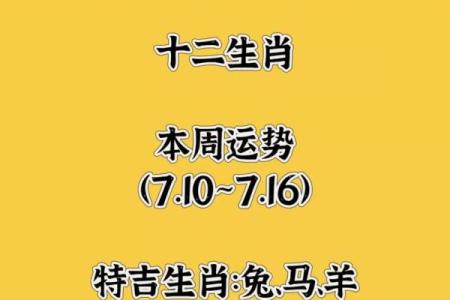 最多的生肖 今日生肖运势特吉生肖