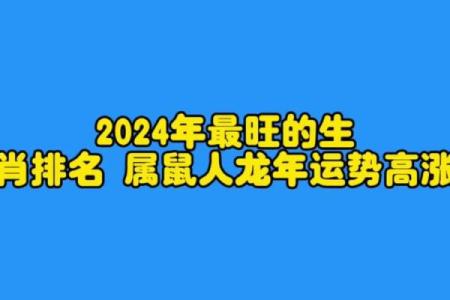 2008年出生的属鼠孩子，在2024年龙年的具体年龄是多少？