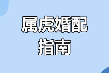 属虎配偶最佳属相 属虎配偶最佳属相婚配
