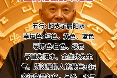 1972年出生属鼠的人五行属性是什么，命理如何解析？