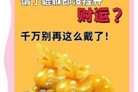 貔貅最忌三种属相 貔貅与什么属相犯冲