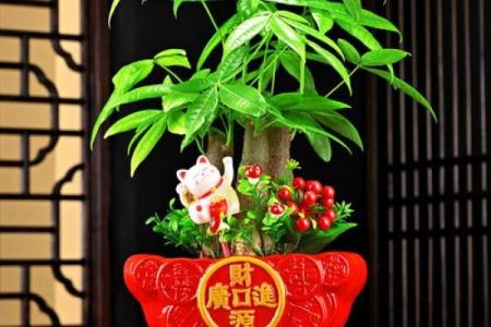 财神爷前面摆放什么东西好 财神爷前摆什么花或树