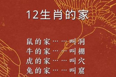 前的生肖 欲钱买飞驰向前的生肖