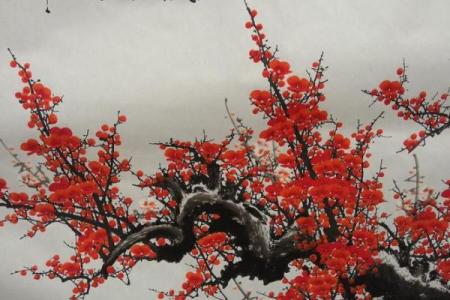 梅花画适合挂在家里哪个地方 梅花的画适合放在家里哪个位置