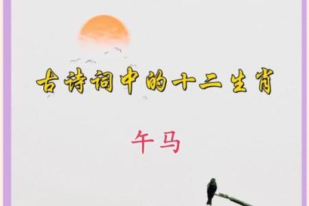 天上月亮四四七指什么生肖