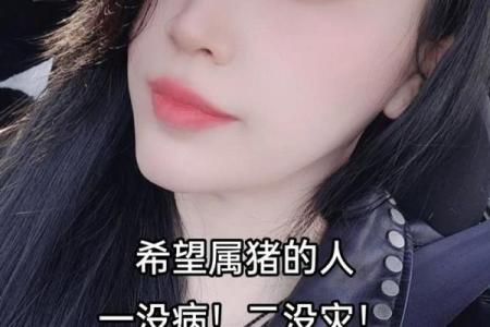 2007年猪的灾难年是哪一年 2007年生肖猪