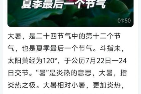 37是什么节日(37是什么节气)