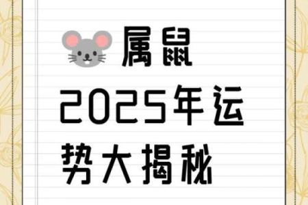 2025年属鼠人的感情运势与健康运程全面解析及建议