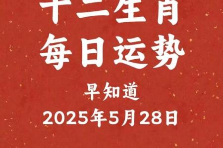 1987年属什么生肖2025年运势 1987年今年属什么生肖