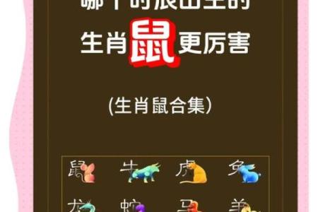 1972年出生属鼠的人2025年全年运程如何？有什么需要特别注意的？