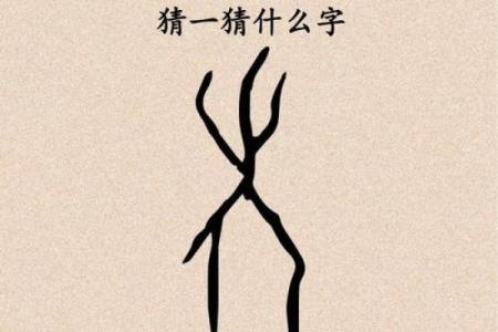 瑞字最吉利三大生肖 请问瑞字是什么意思
