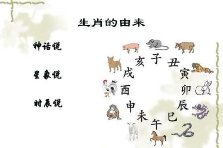 黄花女儿打一生肖的正确答案和由来，有谁知道吗？