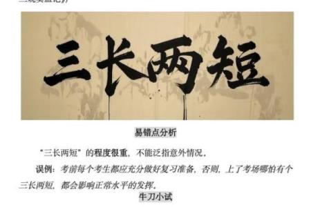 三长两短是什么生肖动物 三长两短指什么生肖