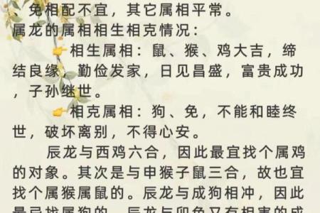 2002年女马的最佳属相配偶 2002年女马的最佳属相配偶和最不适合婚配的属相