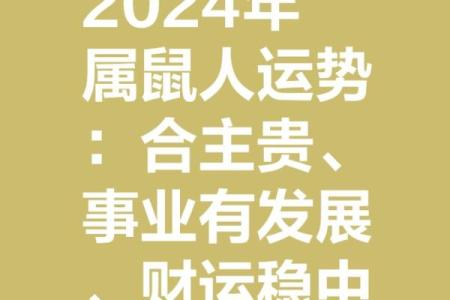 2024年属鼠人全年运势详解及每月运程完整版