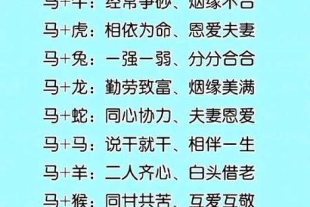 免与蛇的属相合不合 免和蛇相配吗