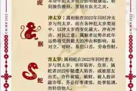 请问根据传统民俗文化，晴空万里的景象最适合代表哪个生肖的性格？