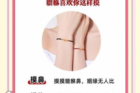 公母貔貅有什么讲究 公母貔貅有什么讲究和忌讳
