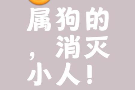 自讨没趣打一最佳生肖→ ‌狗‌（狗吠反招打，喻多此一举）