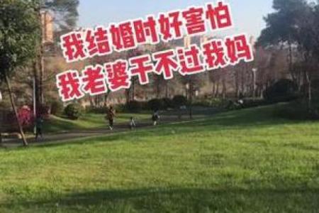 回娘家打一数字 回娘家打一数字回娘家打三个数字