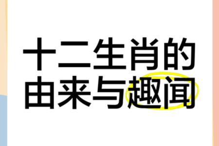 想了解鼎鼎大名所代表的生肖，有没有详细的解析和由来？