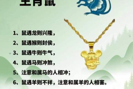 96年出生属鼠的人在2025年运势如何？有哪些需要注意的方面和机遇？