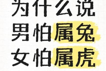 女兔和虎男的属相合不合 女兔和虎男的属相合不合婚姻