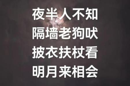 ‌柴门闻犬吠打一生肖 → 狗（犬吠柴门，夜客叩访）‌