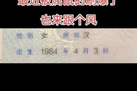 1984年出生的属鼠者到2025年运势和虚岁计算方法是怎样的？
