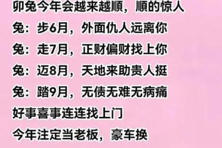 ‌风花雪月打一正确生肖 → 兔（兔戏风月，花雪为伴）‌