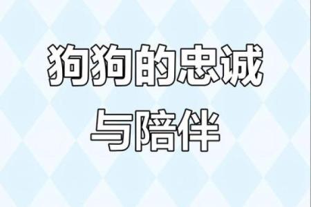 ‌一心一意最佳生肖 → 狗‌（犬心忠诚，从一而终）