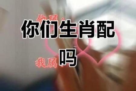猴和蛇的属相合不合 猴和蛇的属相合不合子女关系呢