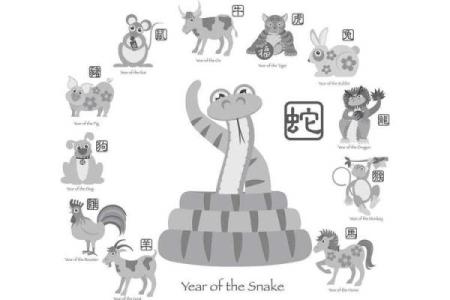 属马和属猪合不合得来 属马和属猪的人合不合