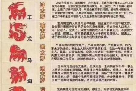 2021是什么年属什么年(2021是什么年属什么年什么命女孩起什么名)