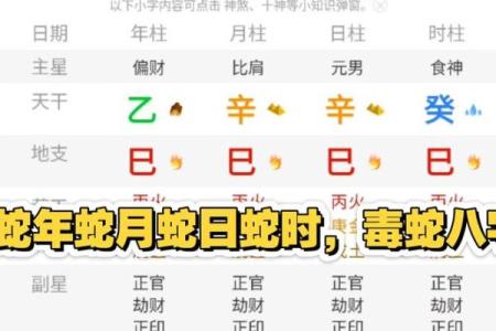 属蛇的生在几月好 十蛇九苦,哪个月份最苦