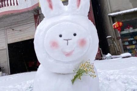 ‌雪人指什么生肖 → 兔‌（兔立寒雪，皎如堆琼）
