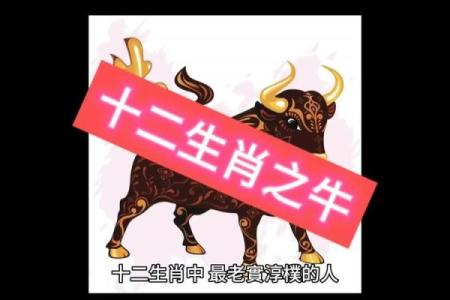 属牛是哪一年出生的 属牛是哪一年出生的