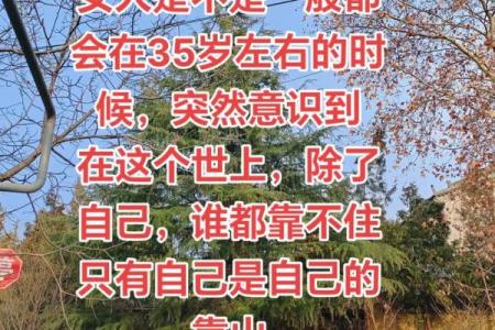 最靠自己的5个生肖女 都说靠自己的女人最精彩,谁知靠自己的女人多心酸