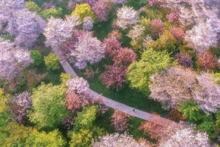 ‌鸟语花香打一生肖 → 画眉‌（眉鸟啼春，百花竞放）