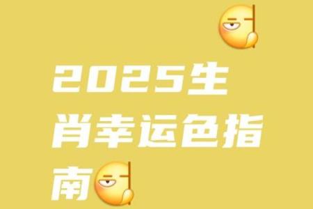2025年属鼠大忌颜色 2022属相鼠忌讳颜色