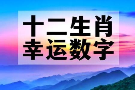 ‌2011年属什么生肖 → 兔（2011辛卯，生肖属兔）‌