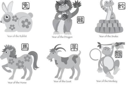 朦朦胧胧的生肖谜语答案揭晓，原来指的是着个动物