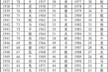 已时属什么生肖 已时属什么生肖属相