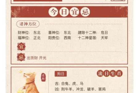 三月七号是什么节日(3月7日是什么日子)